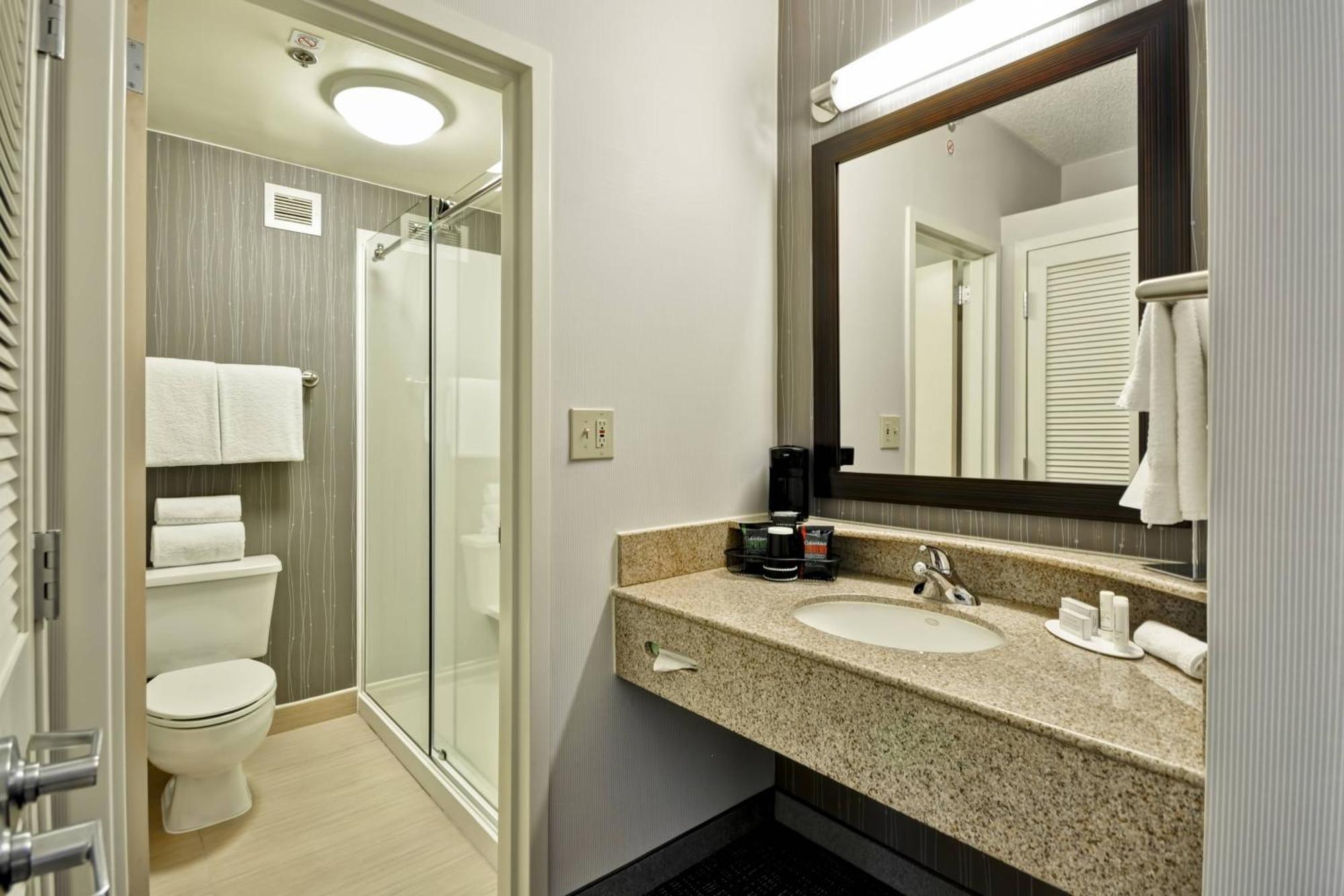 King Room with Roll-In Shower and Sofa Bed - Mobility Access